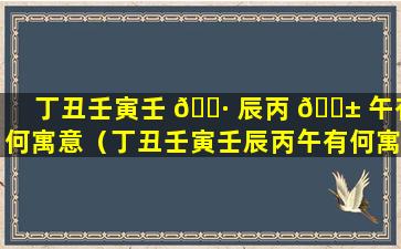 丁丑壬寅壬 🕷 辰丙 🐱 午有何寓意（丁丑壬寅壬辰丙午有何寓意和象征）